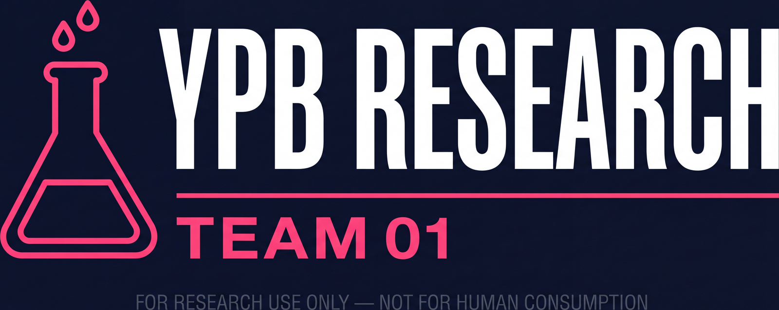 YPB Research — Team 01