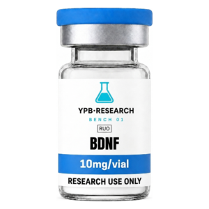 BDNF (Brain-derived neurotrophic factor) (10mg)